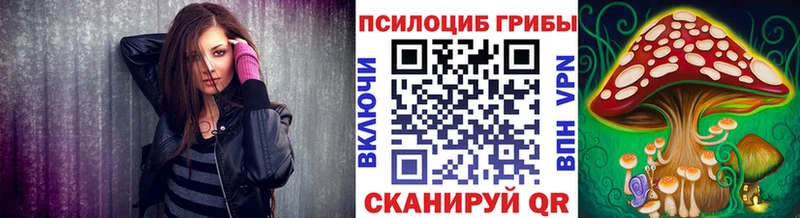Псилоцибиновые грибы Psilocybine cubensis купить Сухой Лог